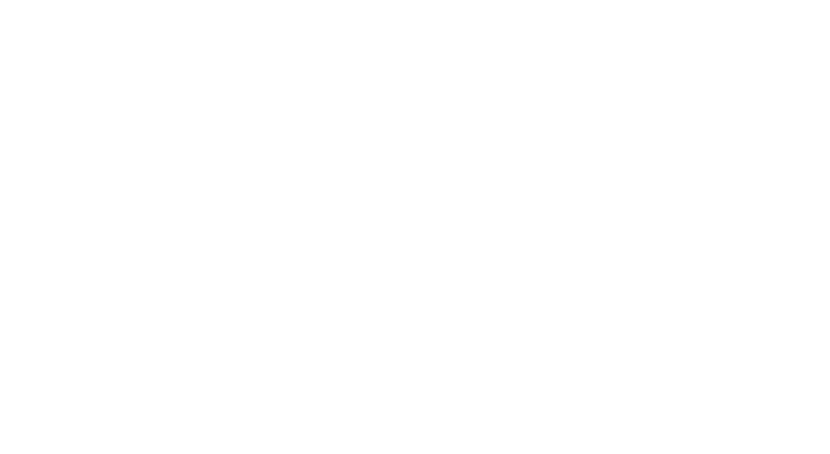 NullusAnxietas.net Logo